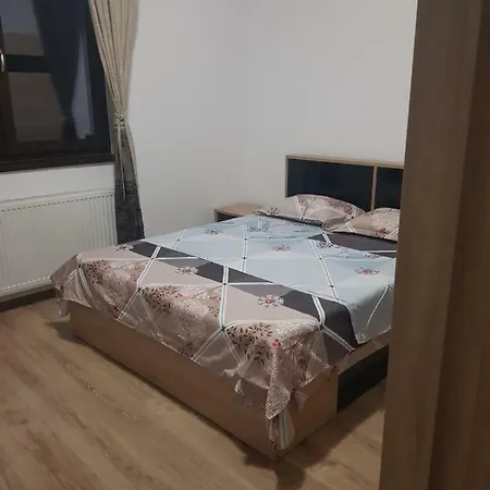 Vila Corina בית הארחה *